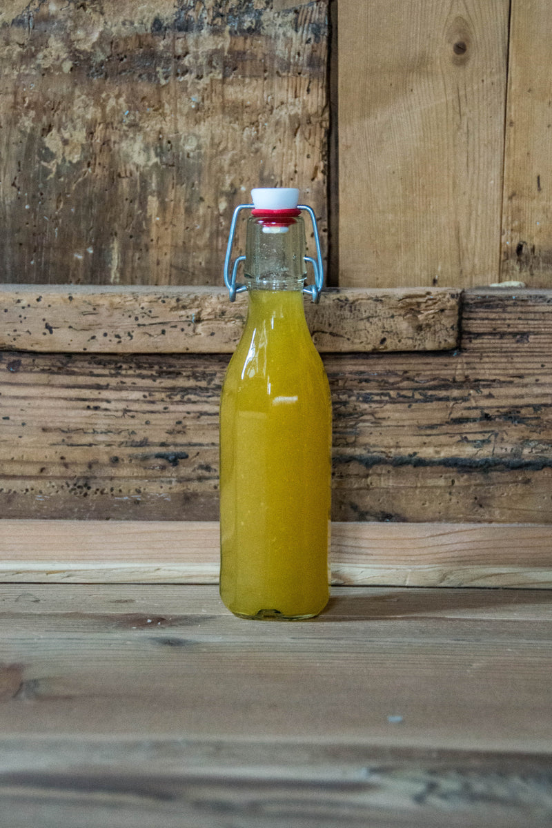 Hausgemachter Yuzucello